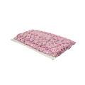 galao-54-rosa-