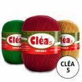 identificacao-CLEA5-LISA