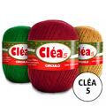 identificacao-CLEA5-LISA
