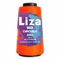 Liza-Grade-4484