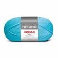 netuno8195bruma