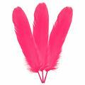 Pena-Grade-Pink