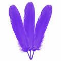 Pena-Grade-Roxo