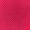 Tecido-Tricoline-1598-2