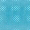 tricoline-Poa-Azul-1595