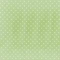 tricoline-Poa-verde-2386