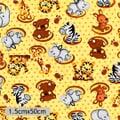 tricoline-zebra-2149-sec2
