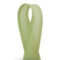 Vies-Liso-CInderela-25mm-20m-20-Pistache